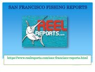 San Francisco Fishing Reports