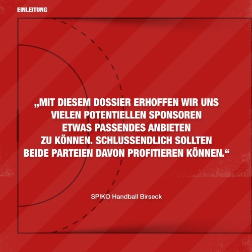 Sponsoring Konzept Handball Birseck