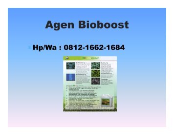 Bioboost Untuk Lele, HP/WA : 0812-1662-1684 