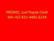  PROMO,  WA +62-831-4481-6234 ,Jual Popok Clodi