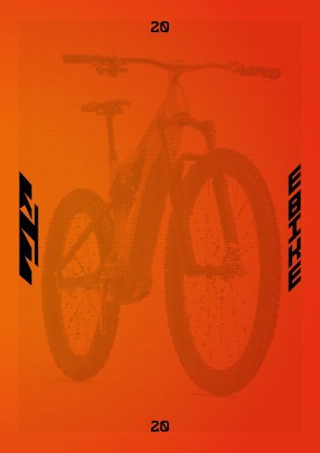 KTM eBike Industries 2020