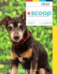 The Scoop - September 2019