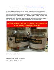 MENYEHATKAN, WA +62 852-1533-9500 Distributor Black Garlic