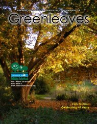 Greenleaves - Fall/Winter-2019-20
