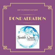 Choose a Pond Aeration System _ Pond Aeration _ SmithCreek