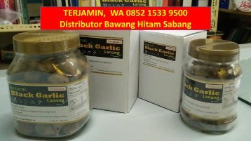 TERJAMIN,  WA 0852 1533 9500 Distributor Bawang Hitam Sabang