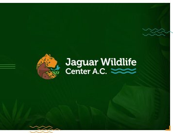 Jaguar Wildlife Center