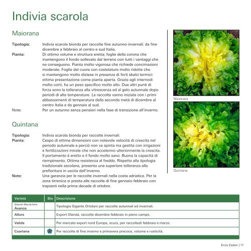 Brochure Indivia 2019