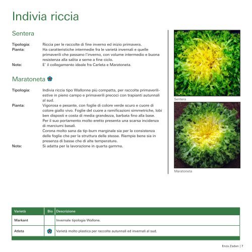 Brochure Indivia 2019