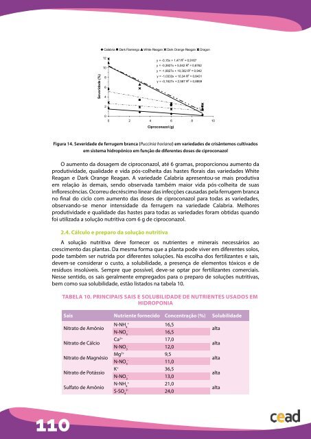 Crisântemo: do plantio à colheita