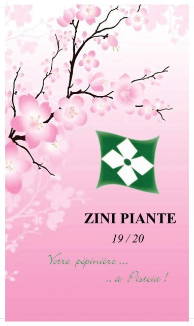 zini-piante