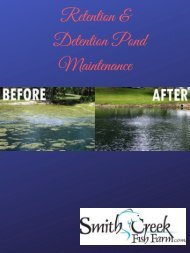 Retention & Detention Pond Maintenance