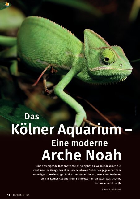 CityNEWS-Ausgabe 03 / 2019