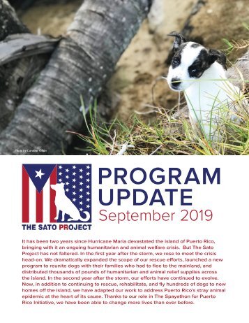 The Sato Project 2019 Program Report