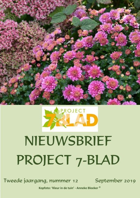 2019-09-NIEUWSBRIEF-NIEUW-7-BLAD-12