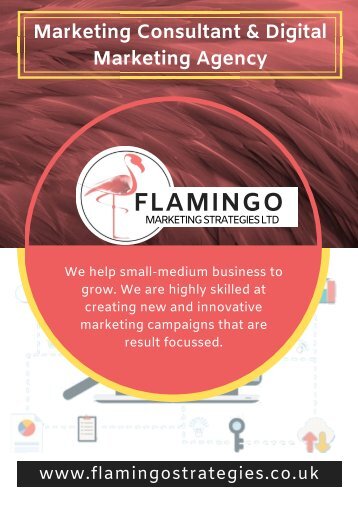 Flamingo Marketing Consultant Makes You Stand Out 