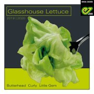 Glasshouse Lettuce Brochure 2019 - 2020