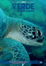 Verde Galápagos #1