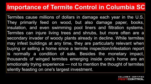 Importance of Termite Control in Columbia SC