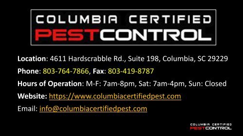 Importance of Termite Control in Columbia SC