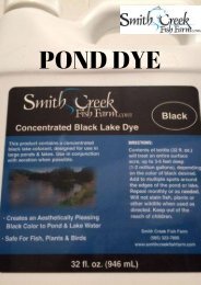 Pond Dye-Is It Worth The Money-smithcreekfishfarm.com