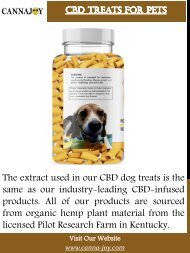 CBD Treats For Pets