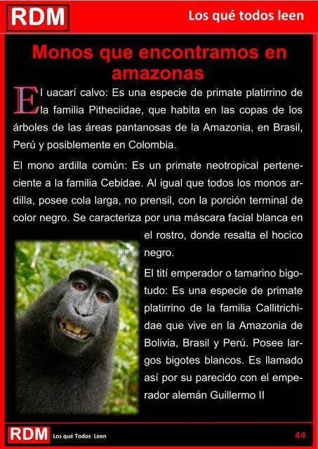 AMAZONAS SEPTIEMBRE 2019