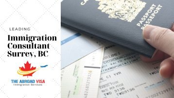 Canadian Immigration Consultant