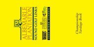 Albemarle 2020 Cover Preview - Yellow