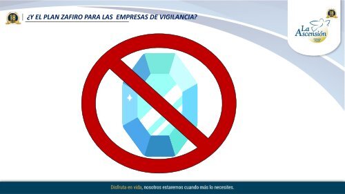 10. Plan Empresas de vigilancia