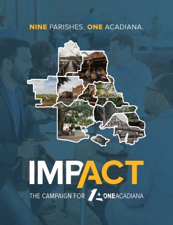 IMPACT: The Campaign for One Acadiana