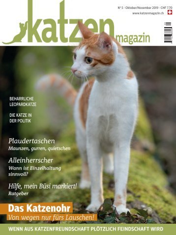 Katzen Magazin 5/19