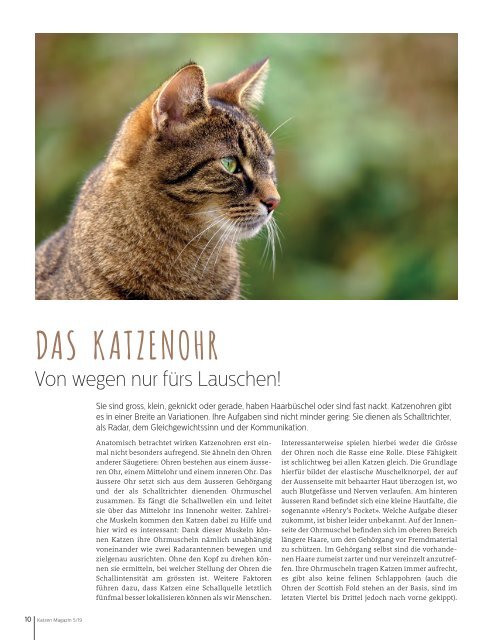 Katzen Magazin 5/19