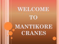 Mantikore Cranes PDF