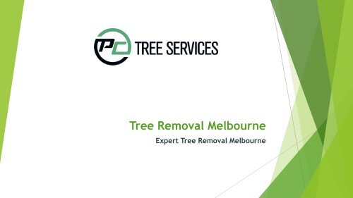 Importance and Benefits for Hiring Professional Tree Removal Services