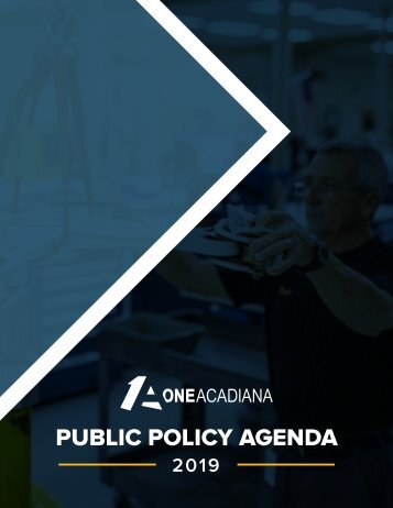 Public Policy Agenda