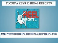 Florida Keys Fishing Reports