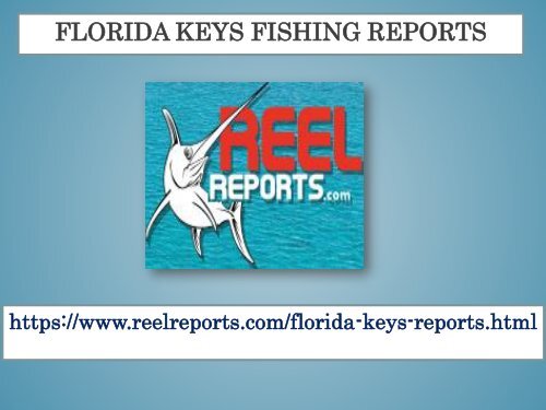 Florida Keys Fishing Reports