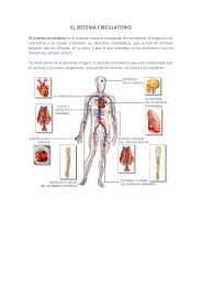 EL SISTEMA CIRCULATORIO