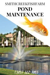 Detention And Retention Pond Maintenance —SmithCreekFishFarm NY