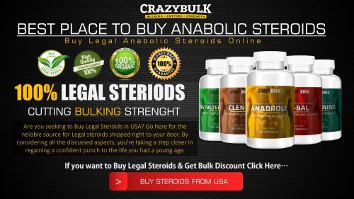 pit bull steroids Review