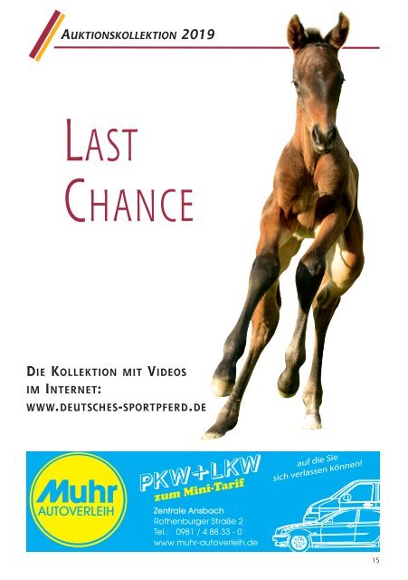 DSP-Fohlenauktion Last Chance am 5. Oktober 2019