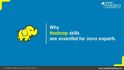 Why Hadoop skills are essential for Java experts