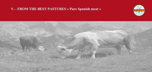 Gourmet Catalogue_Tasted In Spain