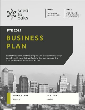 FYE 2021 Business Plan