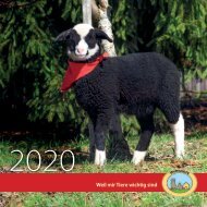 Pfotenhilfe Kalender 2020