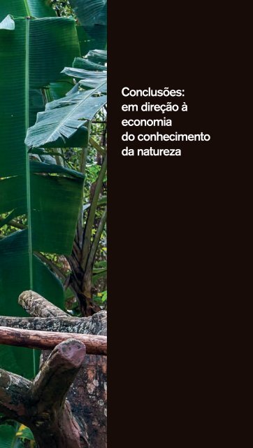 Amazônia por uma economia