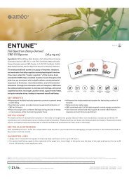 Améo® Entune™ Erstinformation