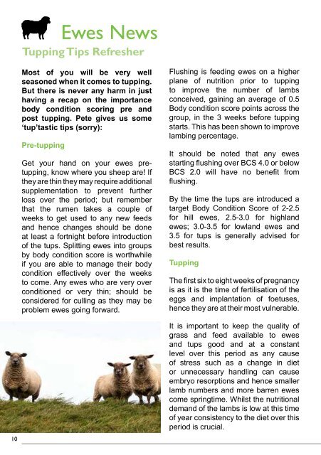 LLM Farm Vets October Newsletter 2019