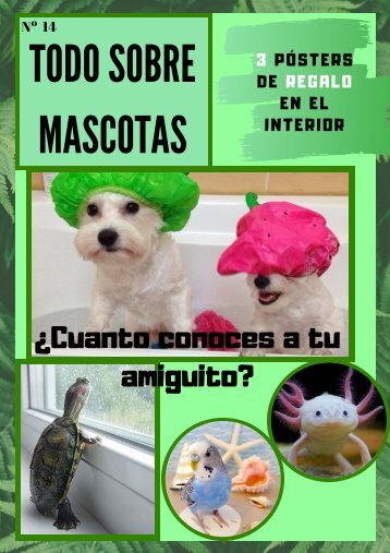 Todo sobre Mascotas 